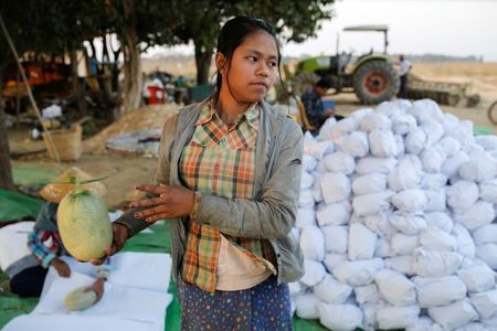 Myanmar watermelon farmers feel pinch as coronavirus hits China trade